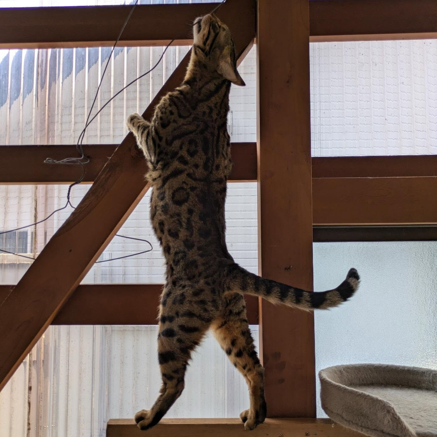 おはようございます☀