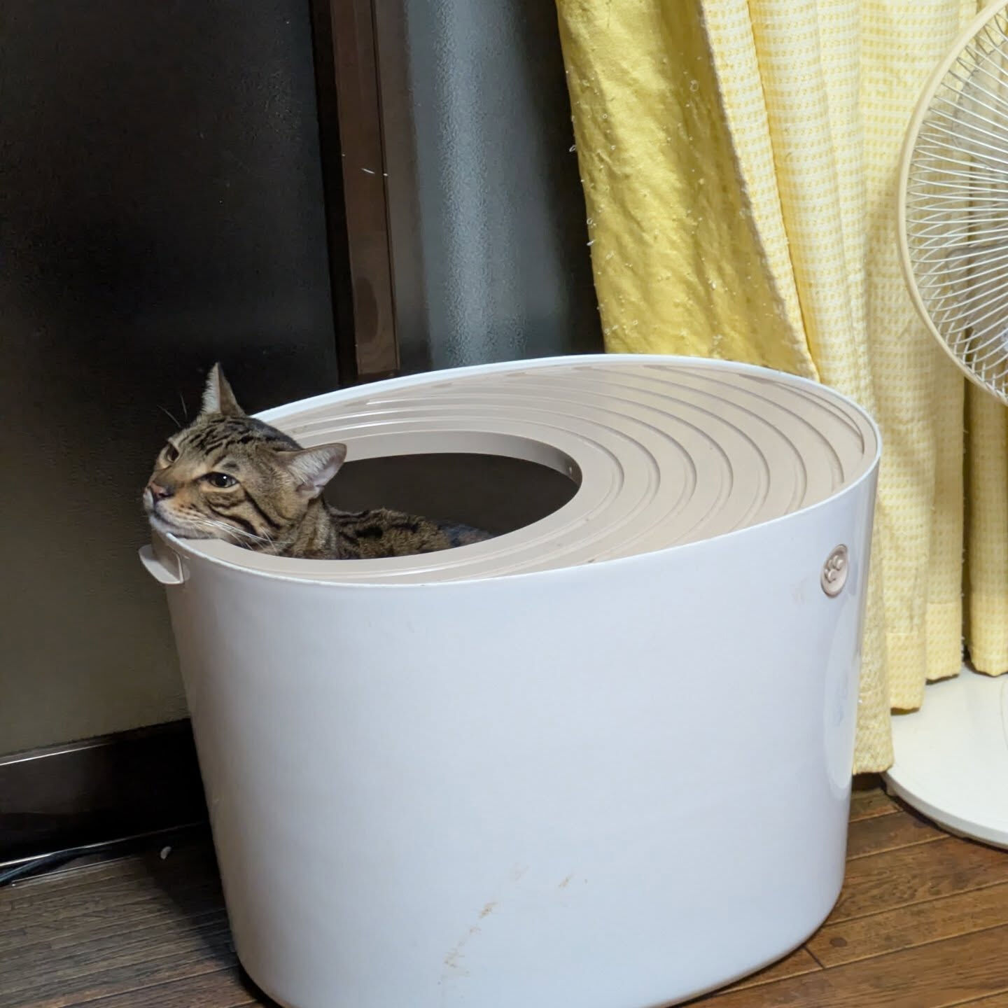 おはようございます☀