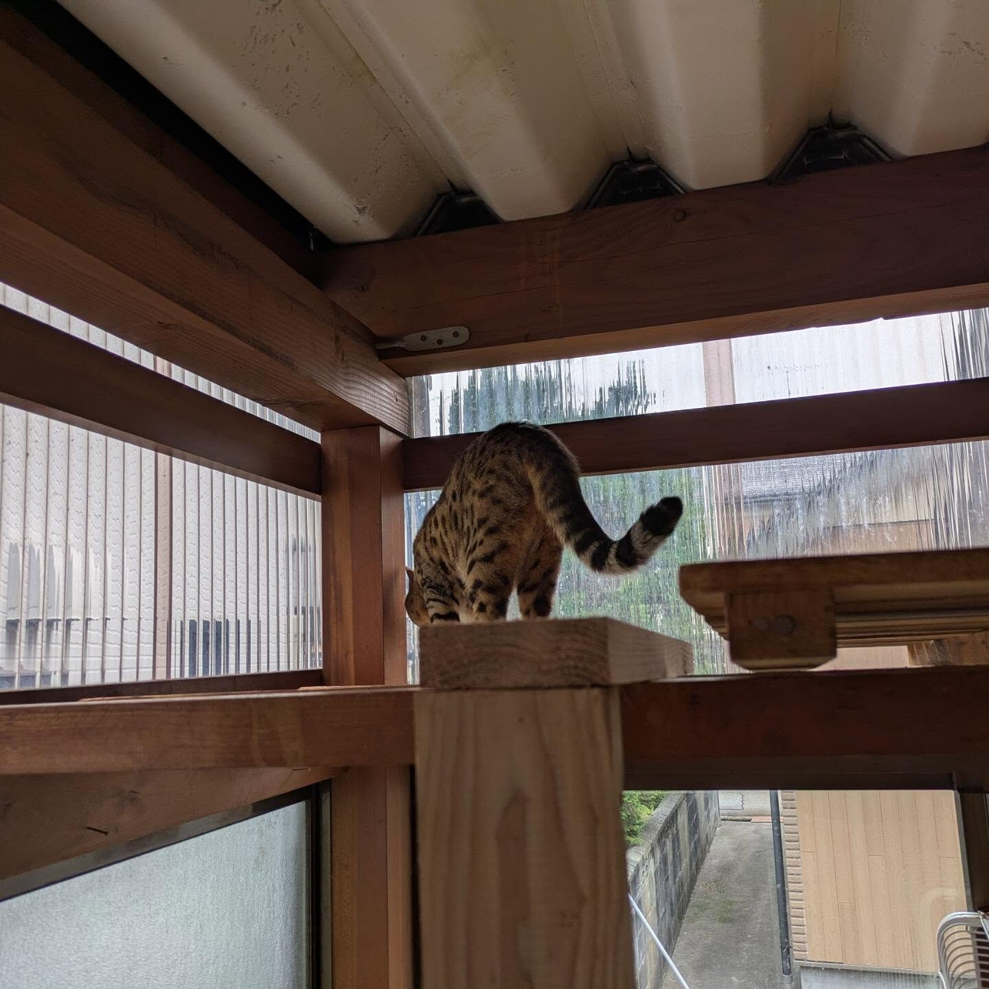 おはようございます☁今日は午後から雨の模様☔
