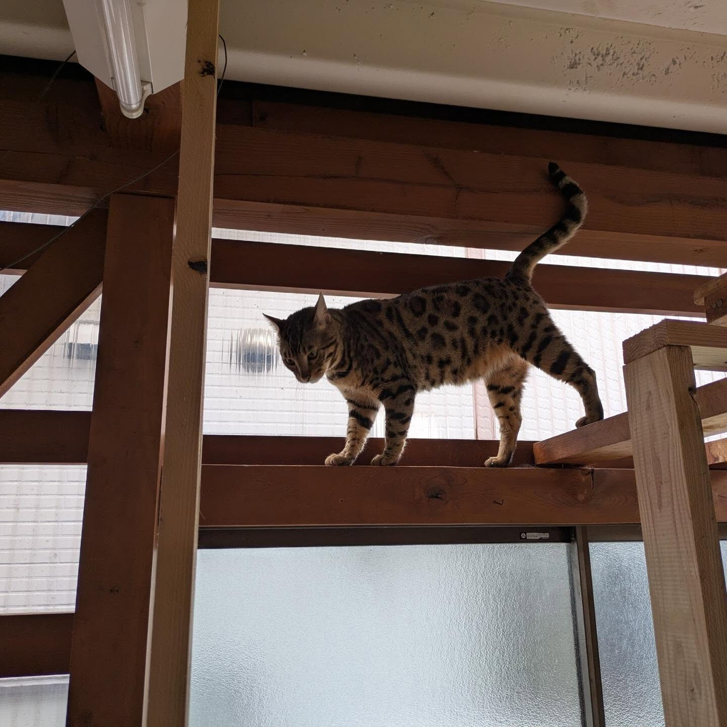おはようございます☁今日は午後から雨の模様☔