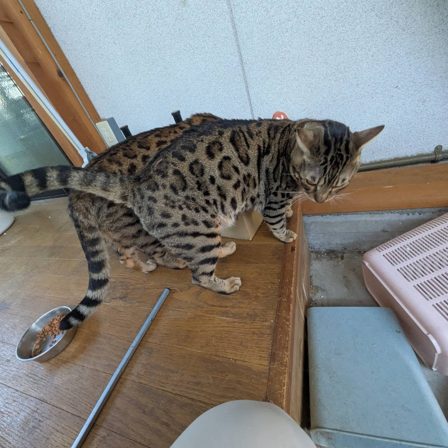 おはようございます☀