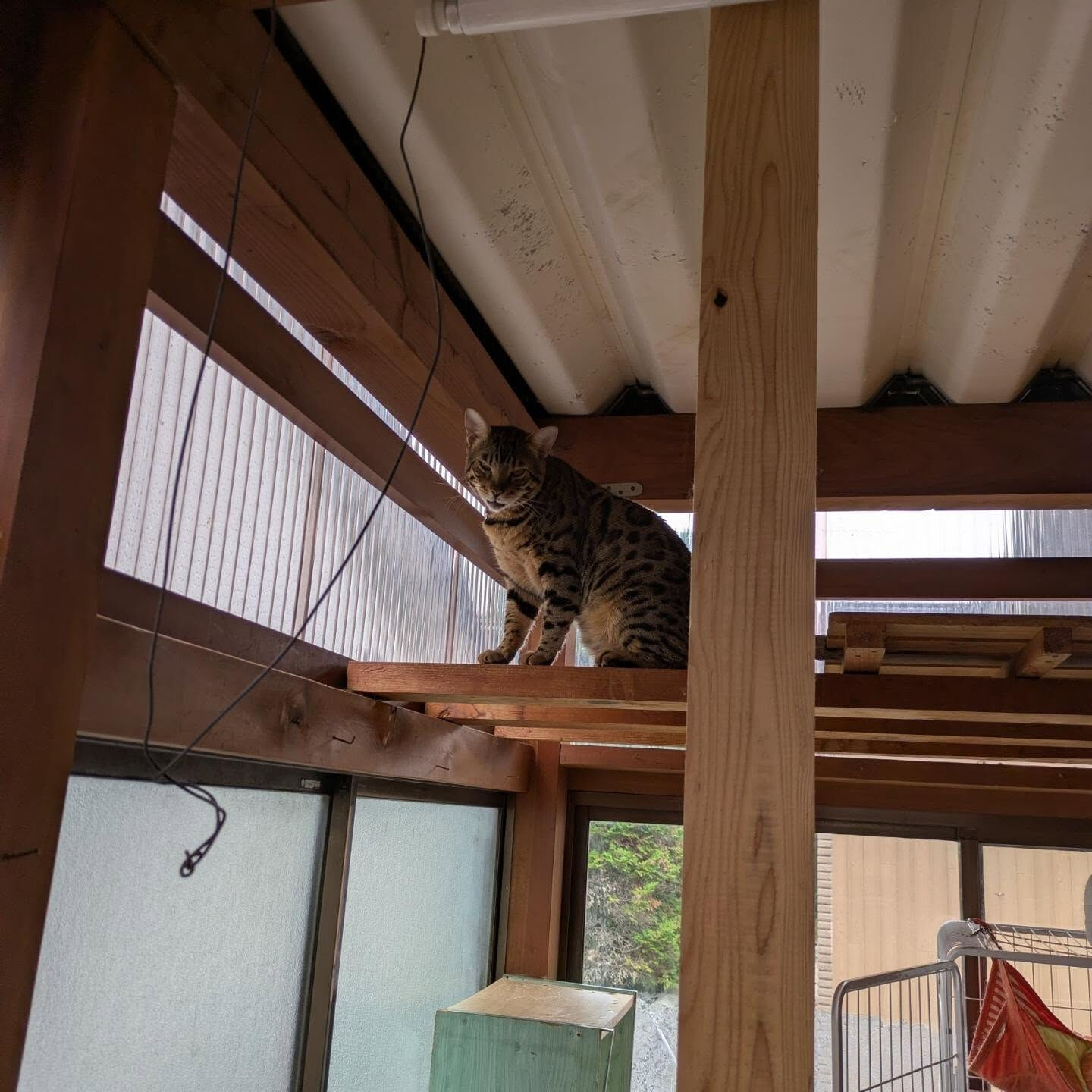 おはようございます☀