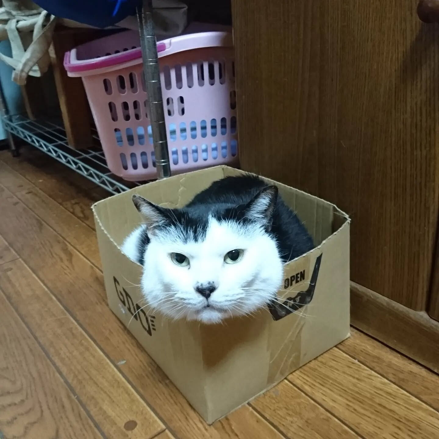 おはようございます☁