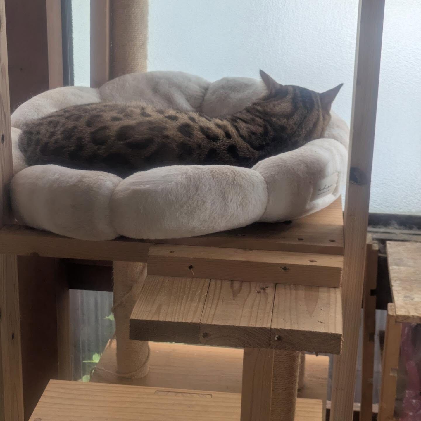 おはようございます☀