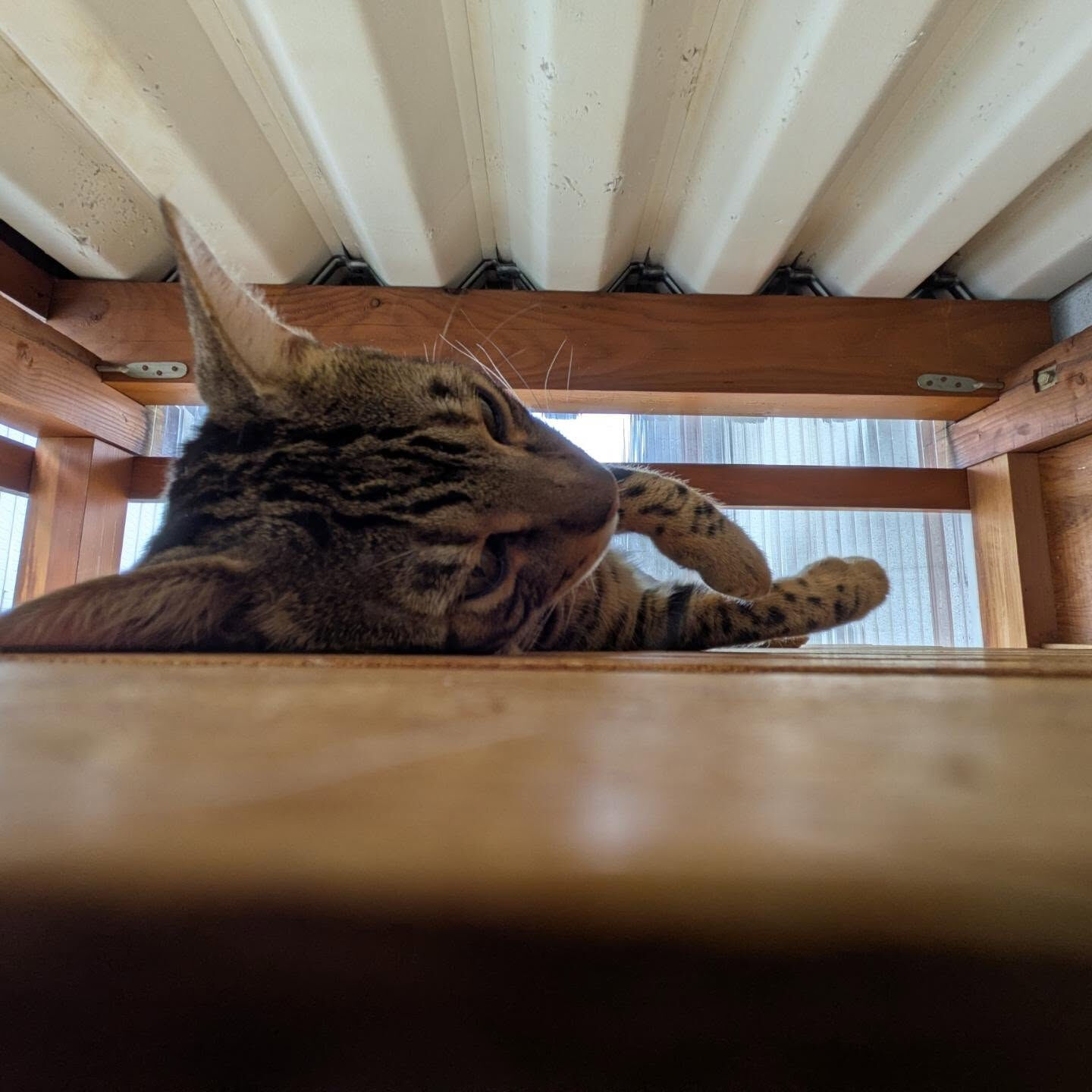 こんにちは☀