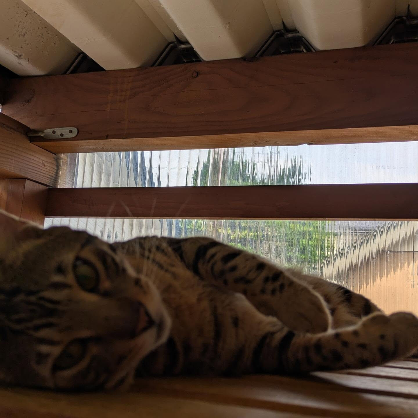 こんにちは☀
