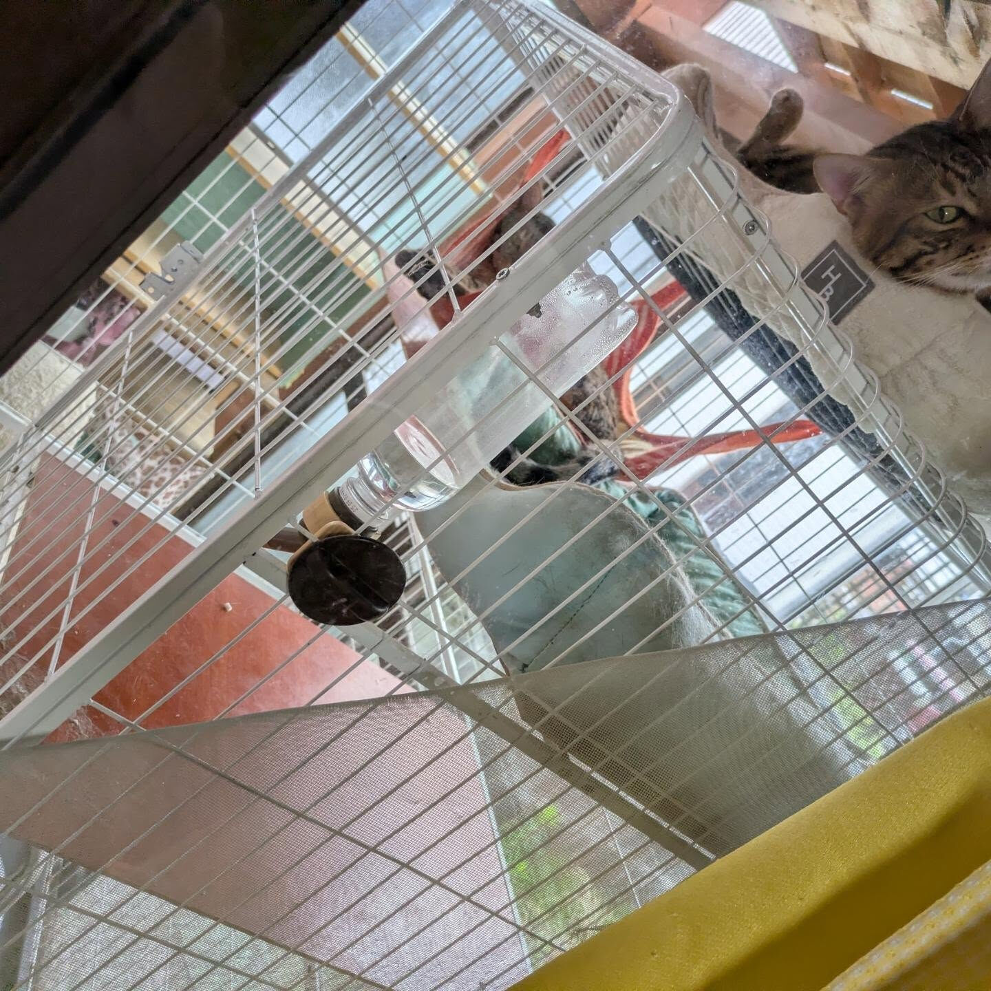 おはようございます☀