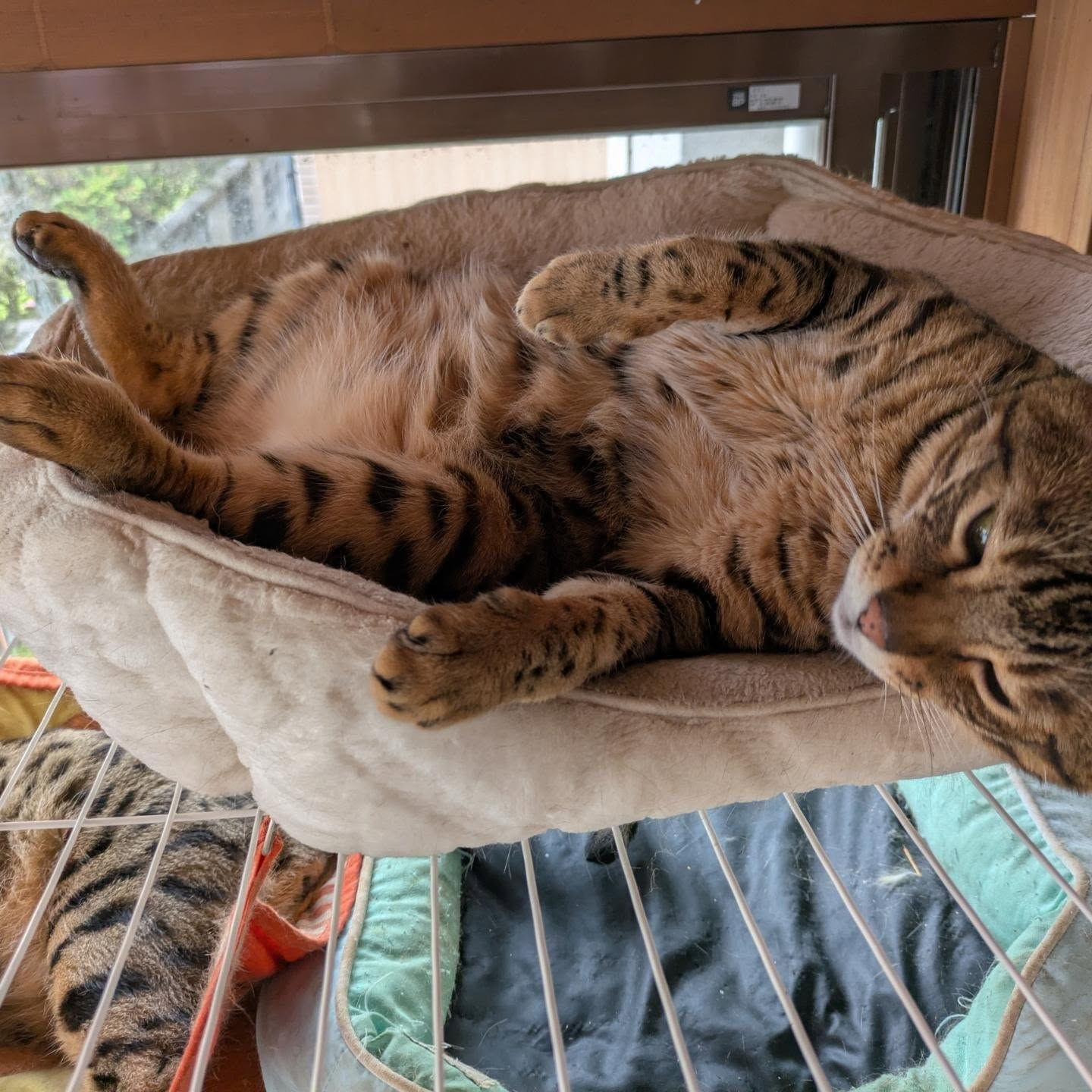 おはようございます☀