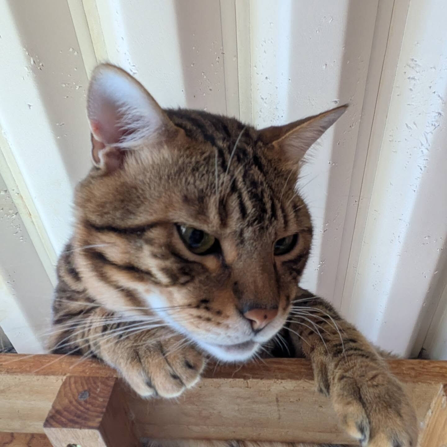 おはようございます☀