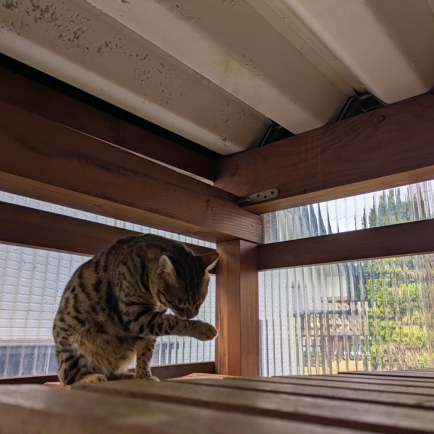 おはようございます☀