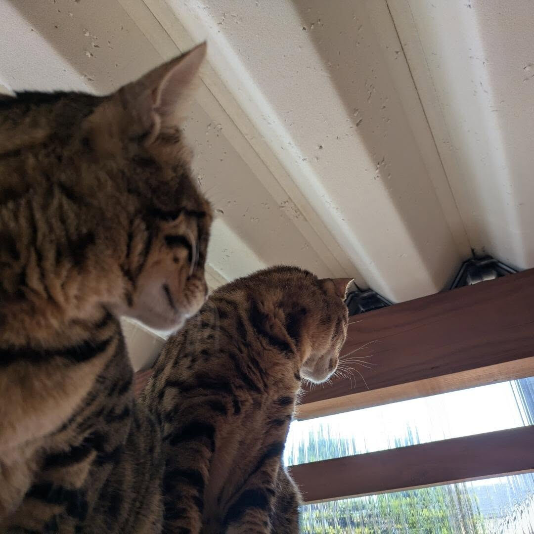 おはようございます☁