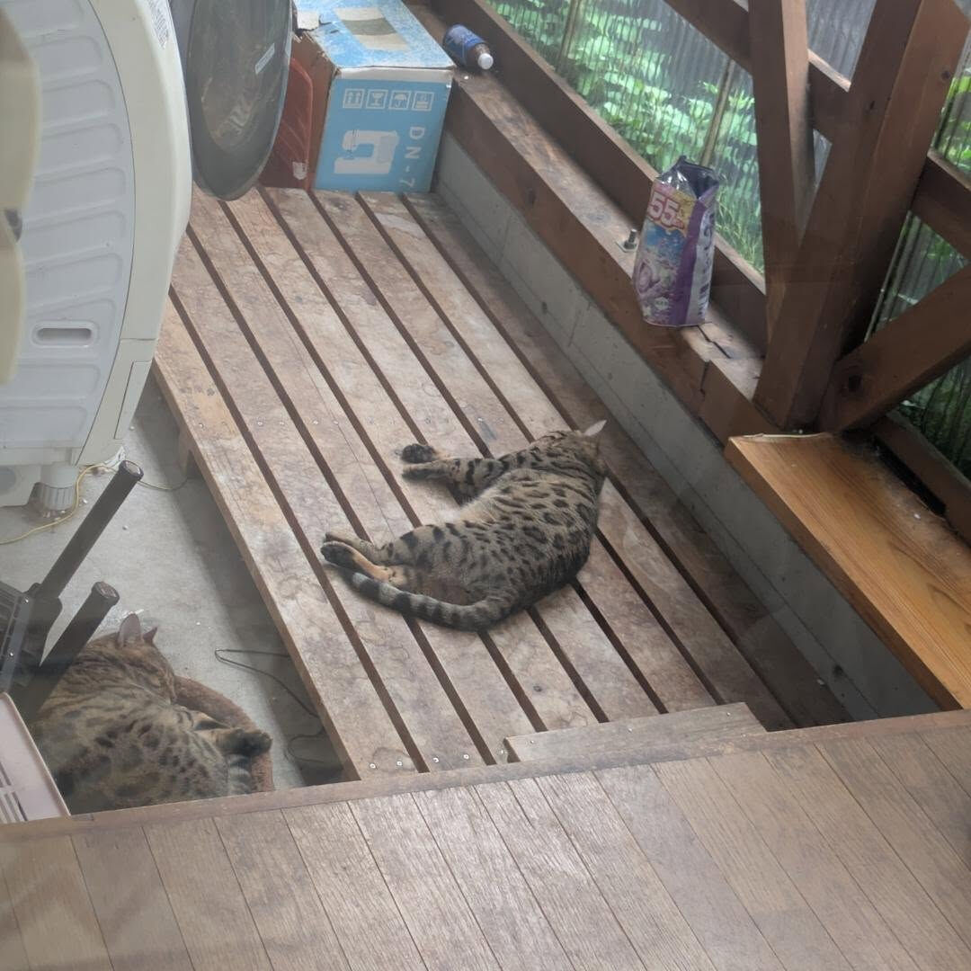 おはようございます☀