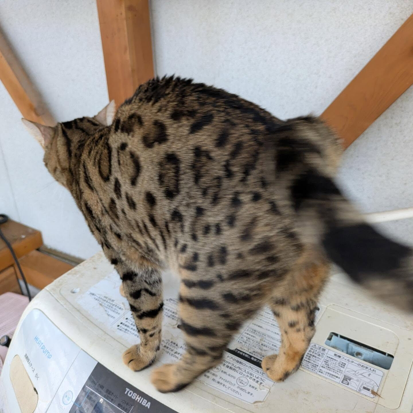 おはようございます☀
