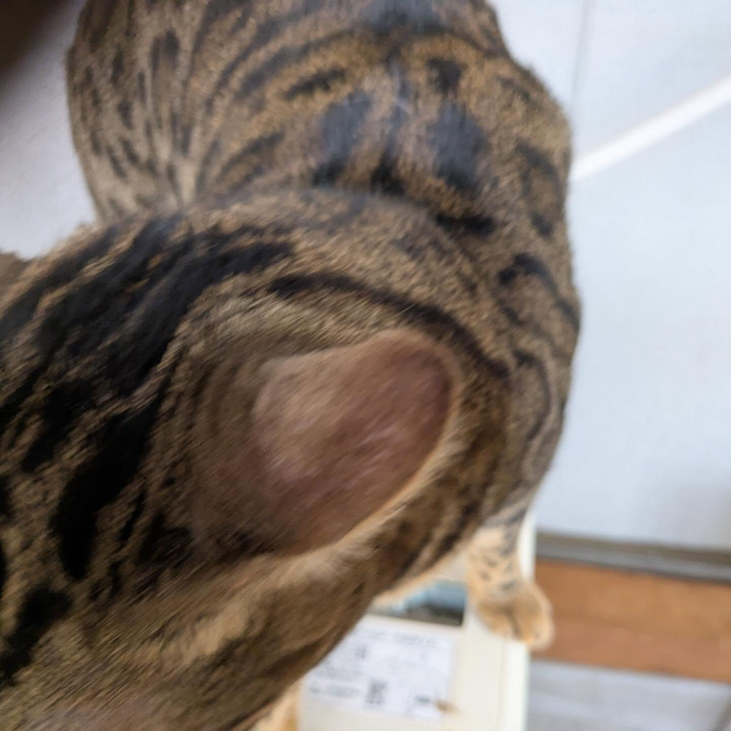 おはようございます☀