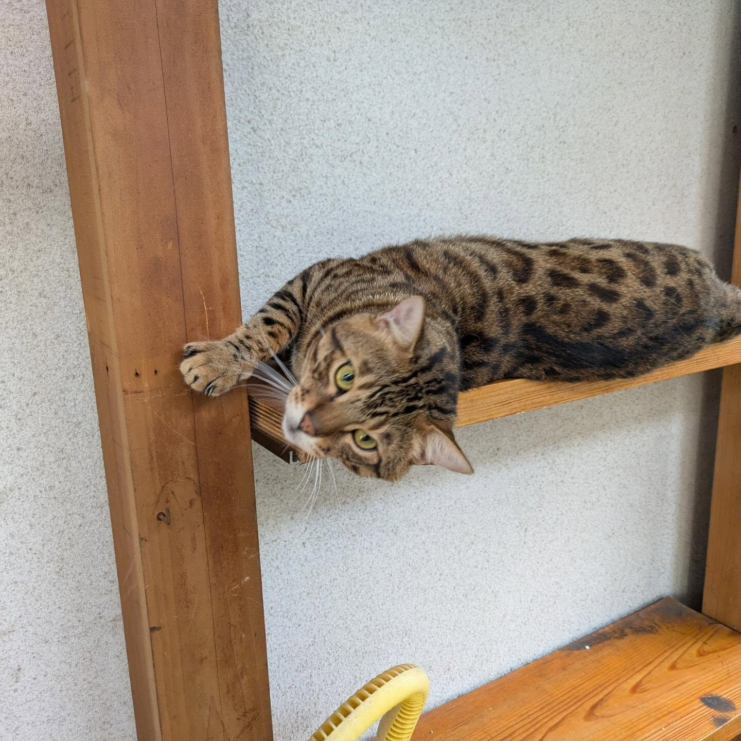 おはようございます☀