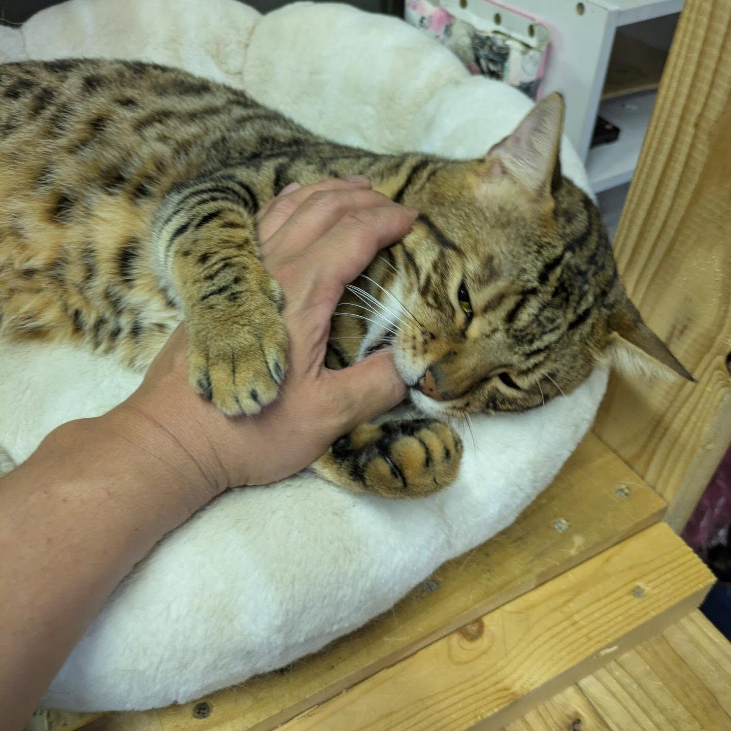 おはようございます☀