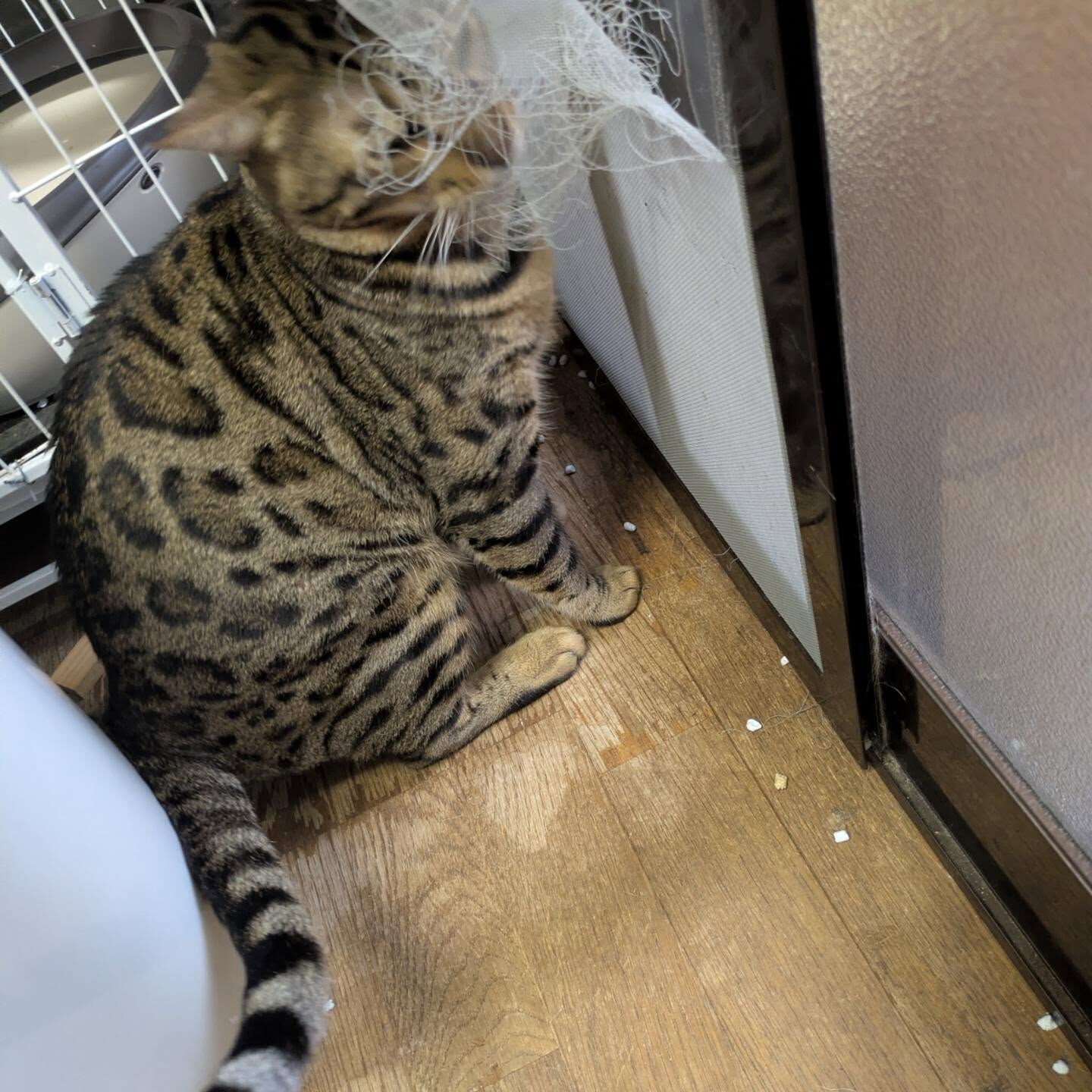 おはようございます☀