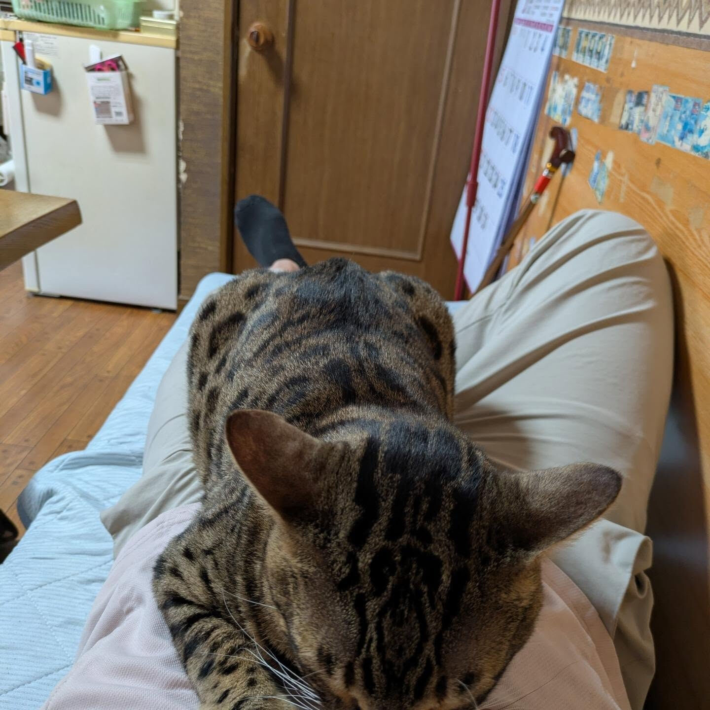 おはようございます☀