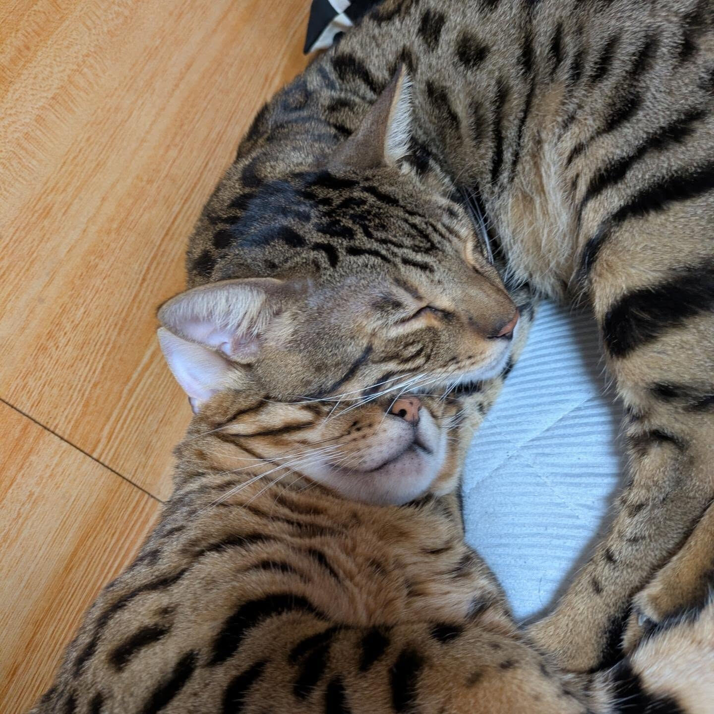 こんにちは☀