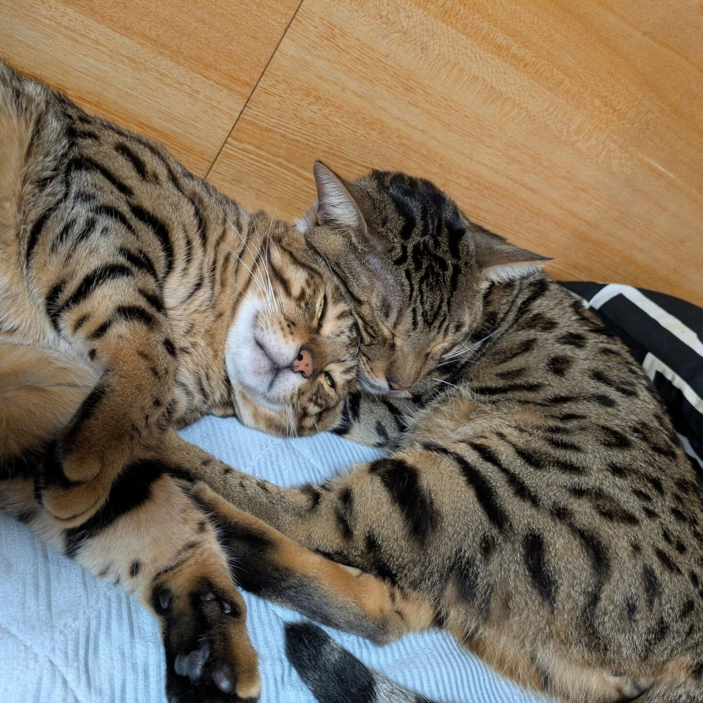 こんにちは☀