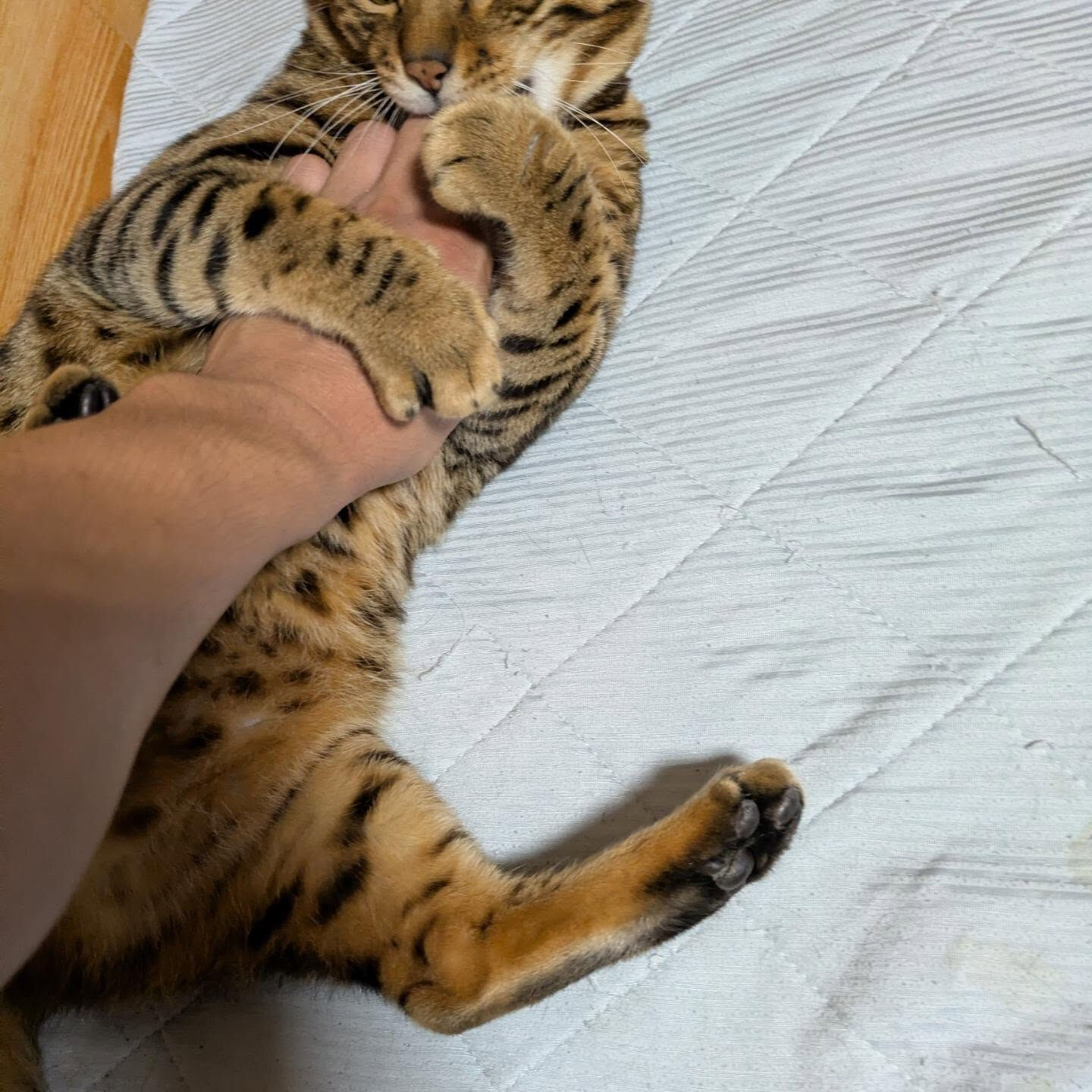 おはようございます☀