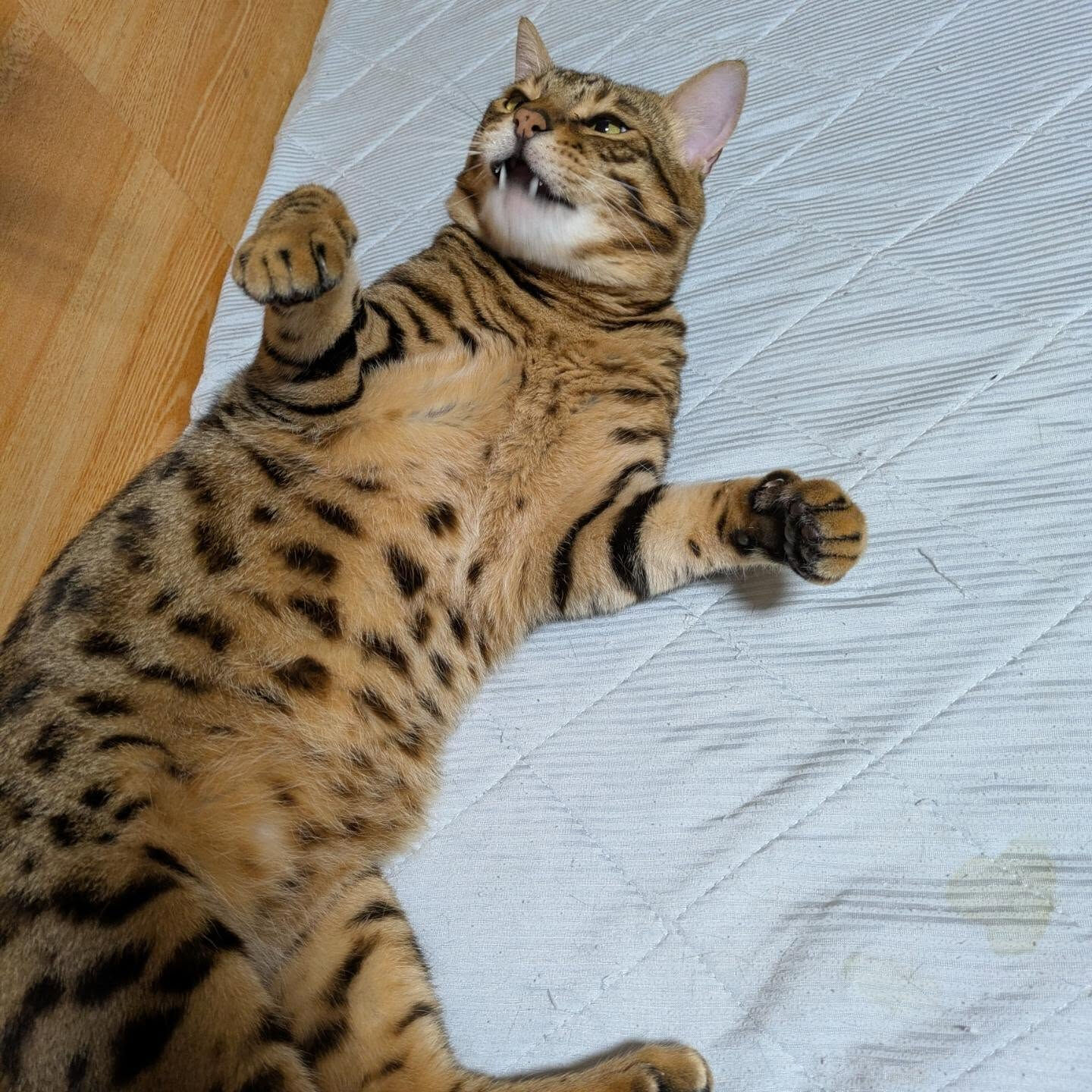 おはようございます☀