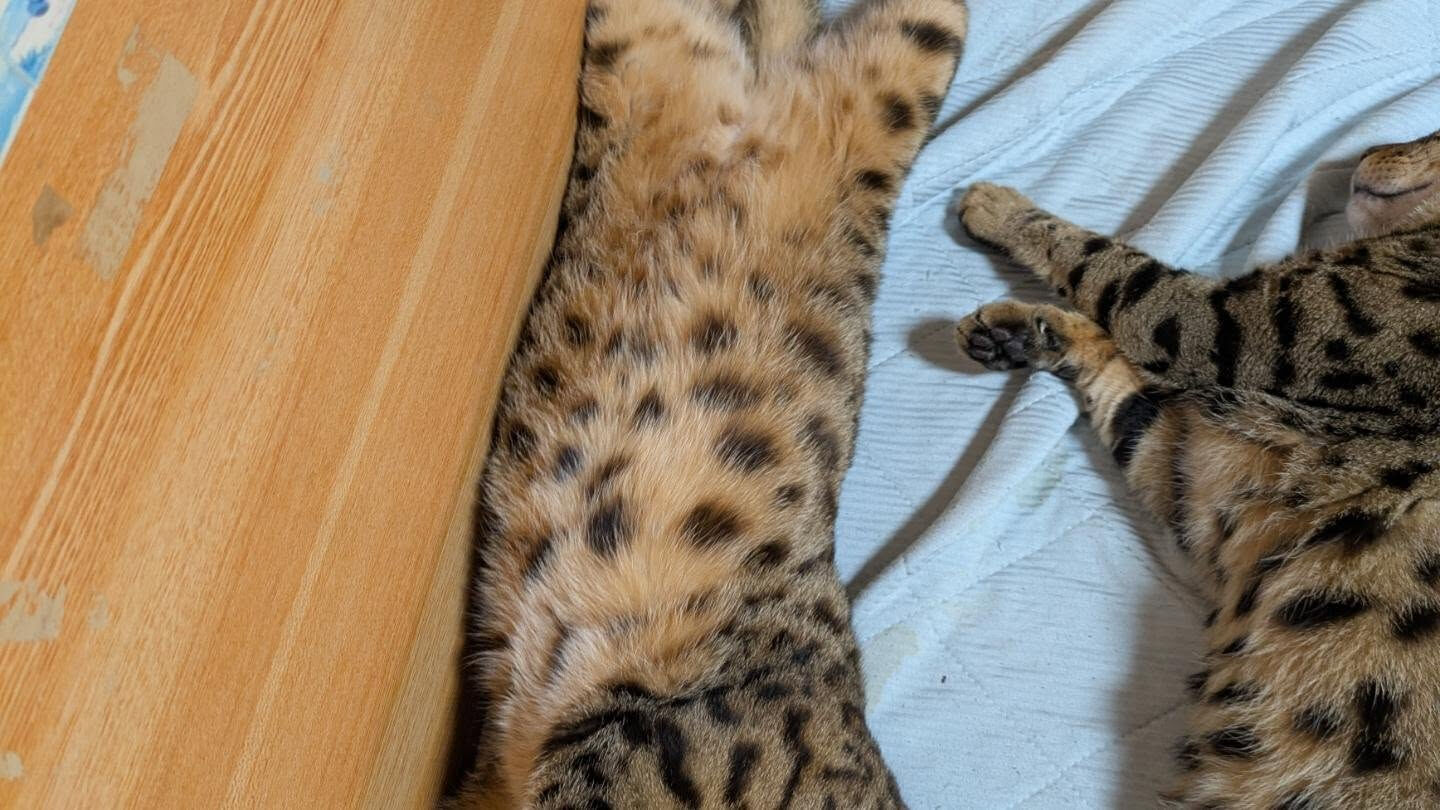 おはようございます☀