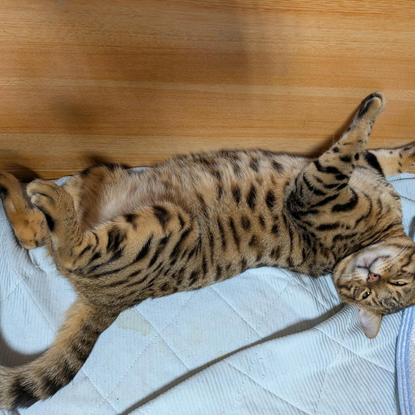 おはようございます☀