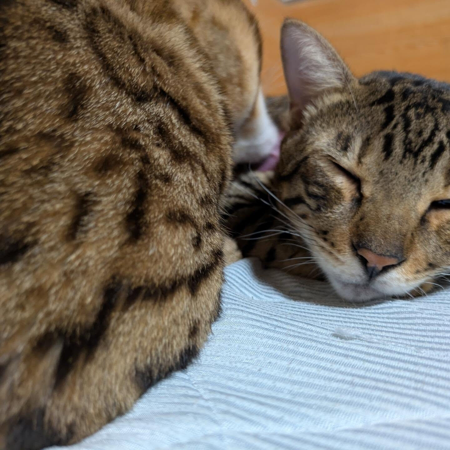 おはようございます☀