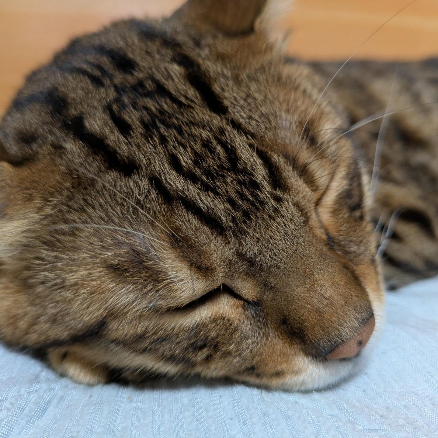 おはようございます☀