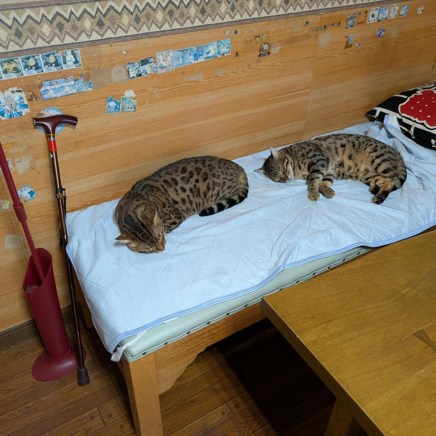 おはようございます☀