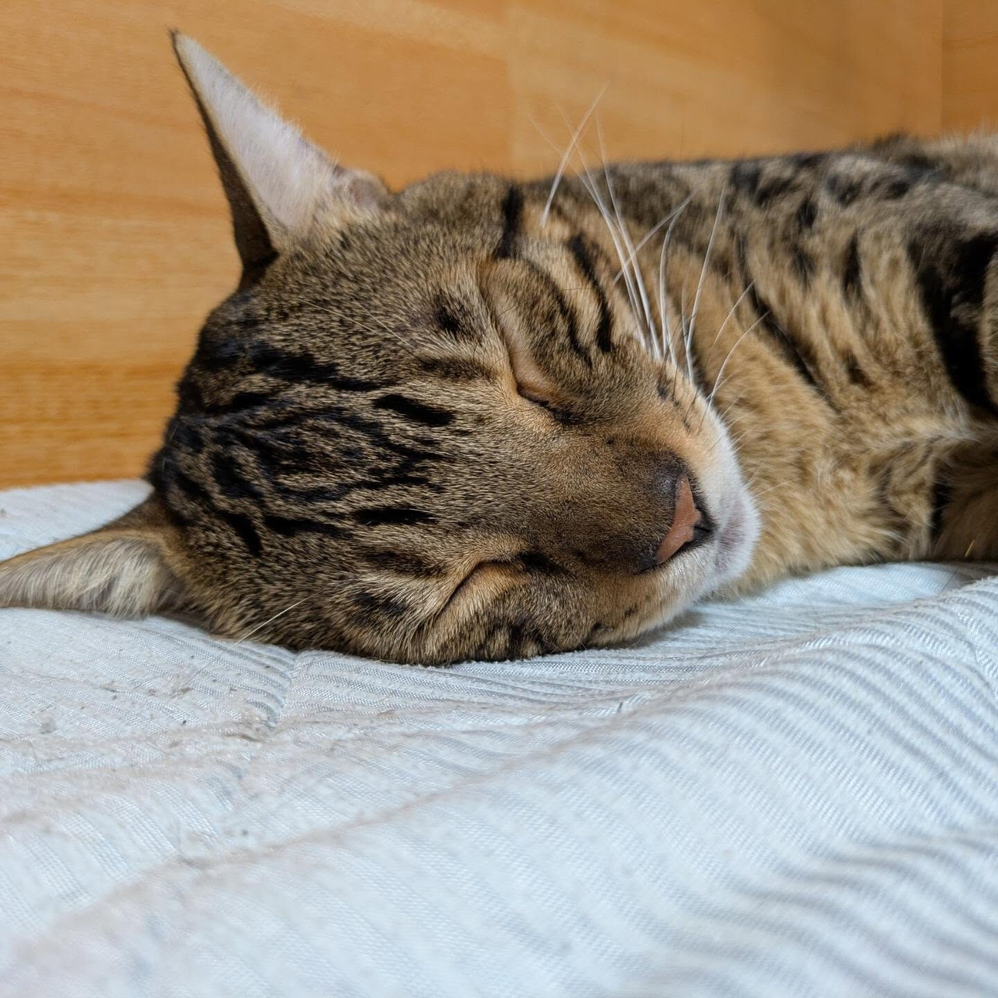 おはようございます☀