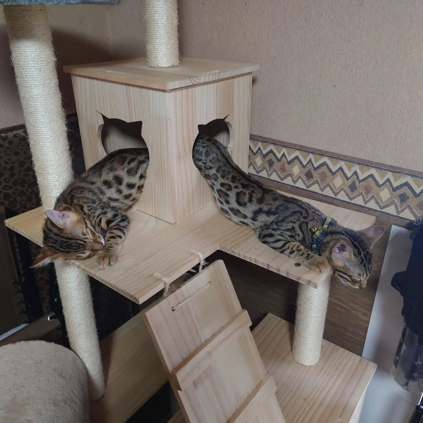 おはようございます☀