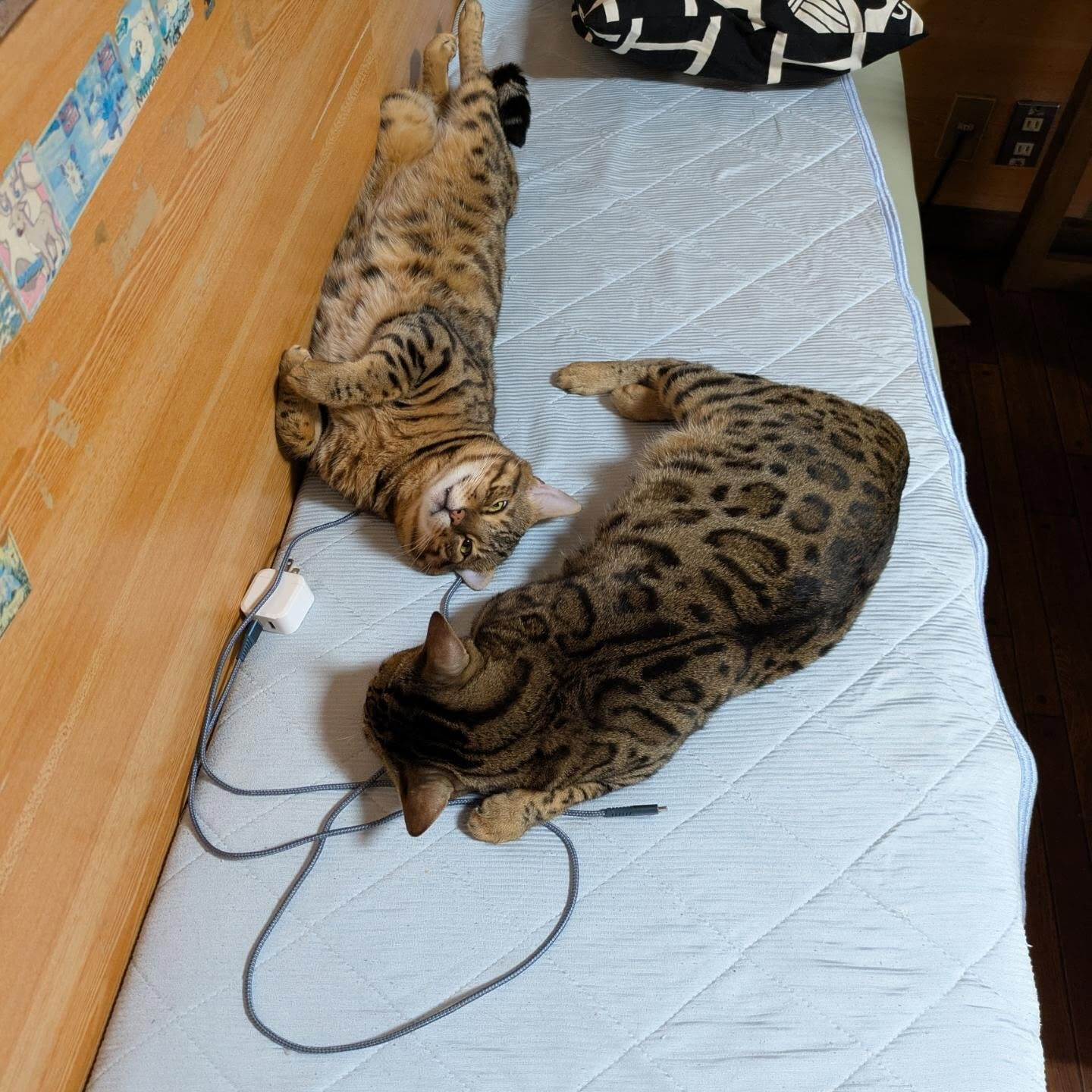 おはようございます☀
