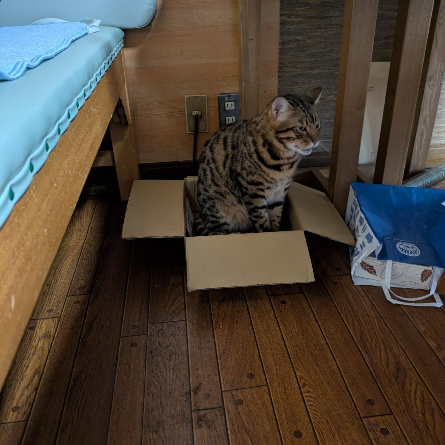 おはようございます☀