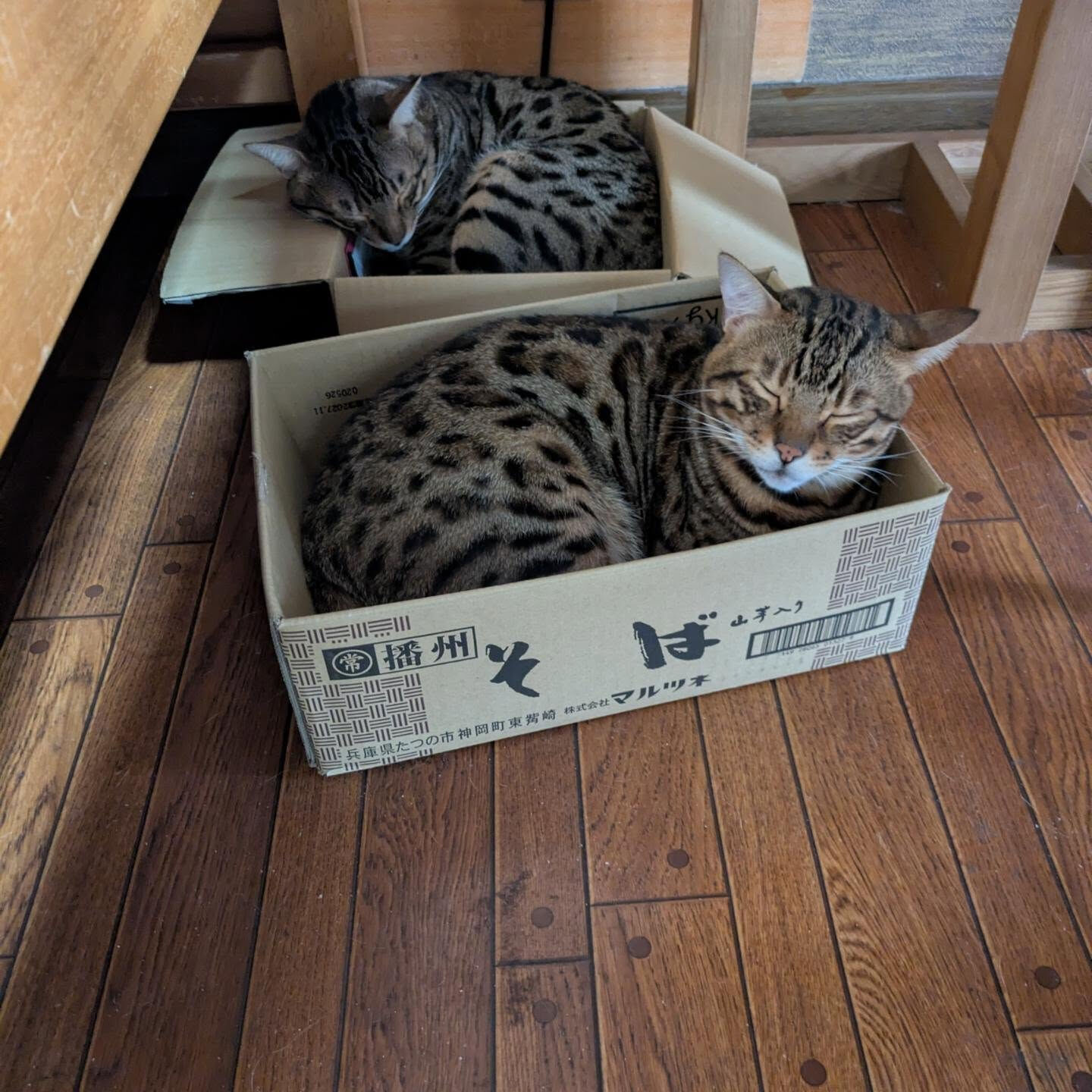 おはようございます☁
