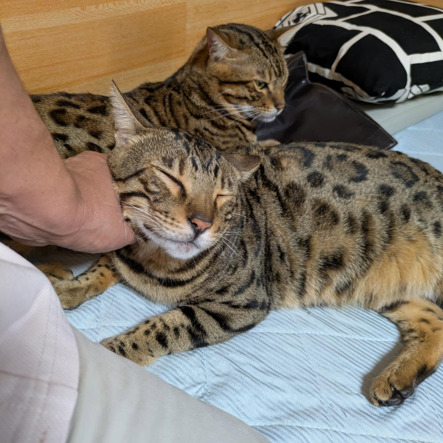 おはようございます☀