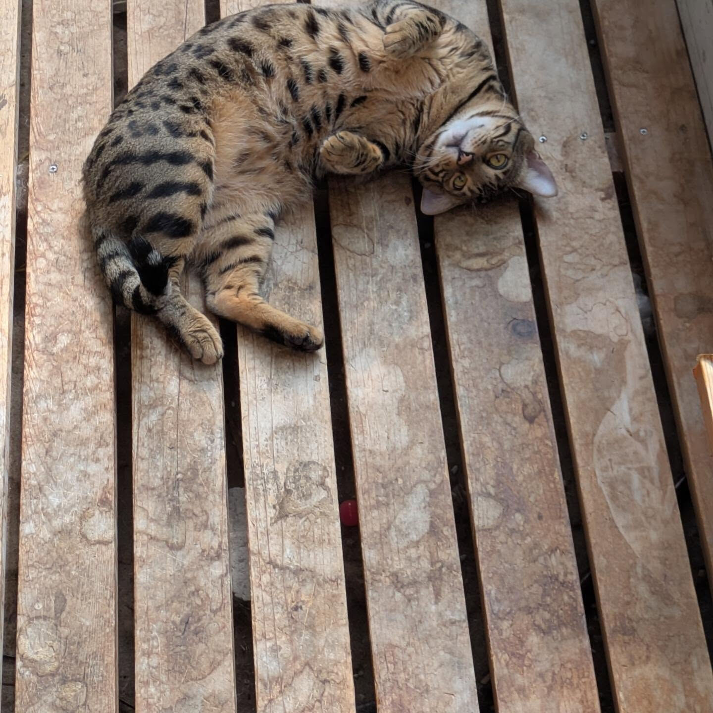 おはようございます☀