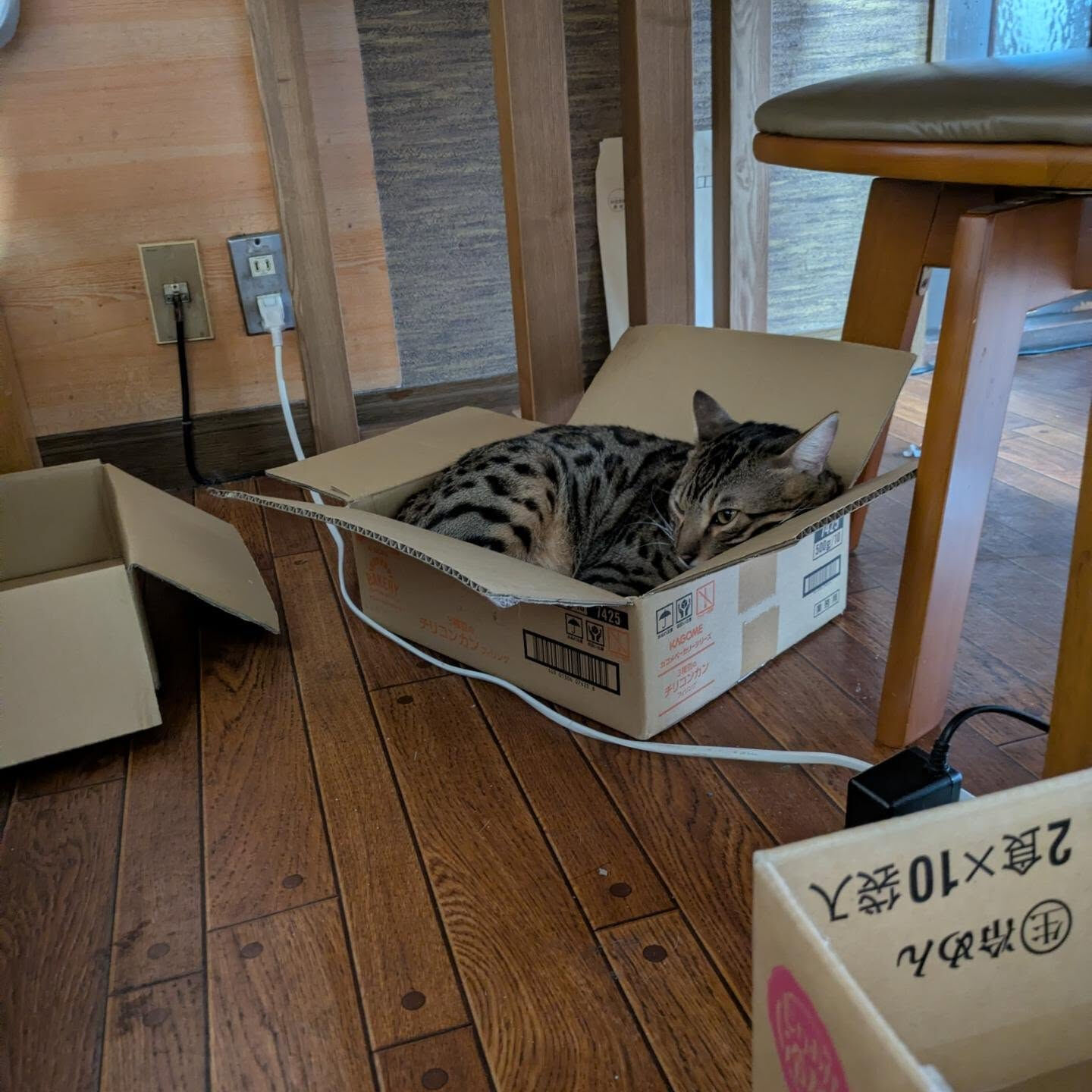 おはようございます☔