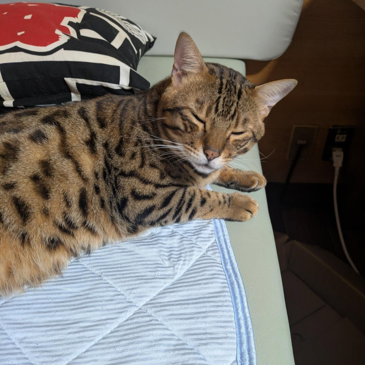 おはようございます☀