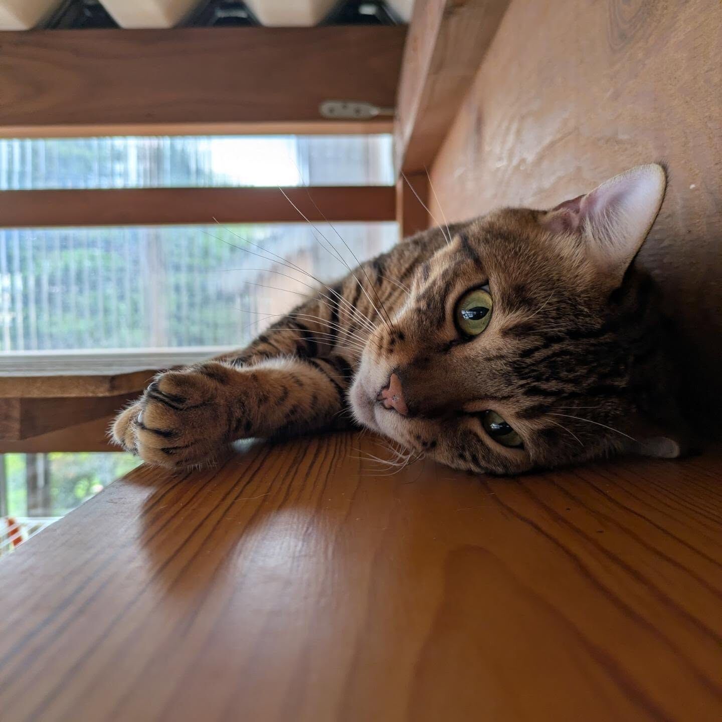 おはようございます☀