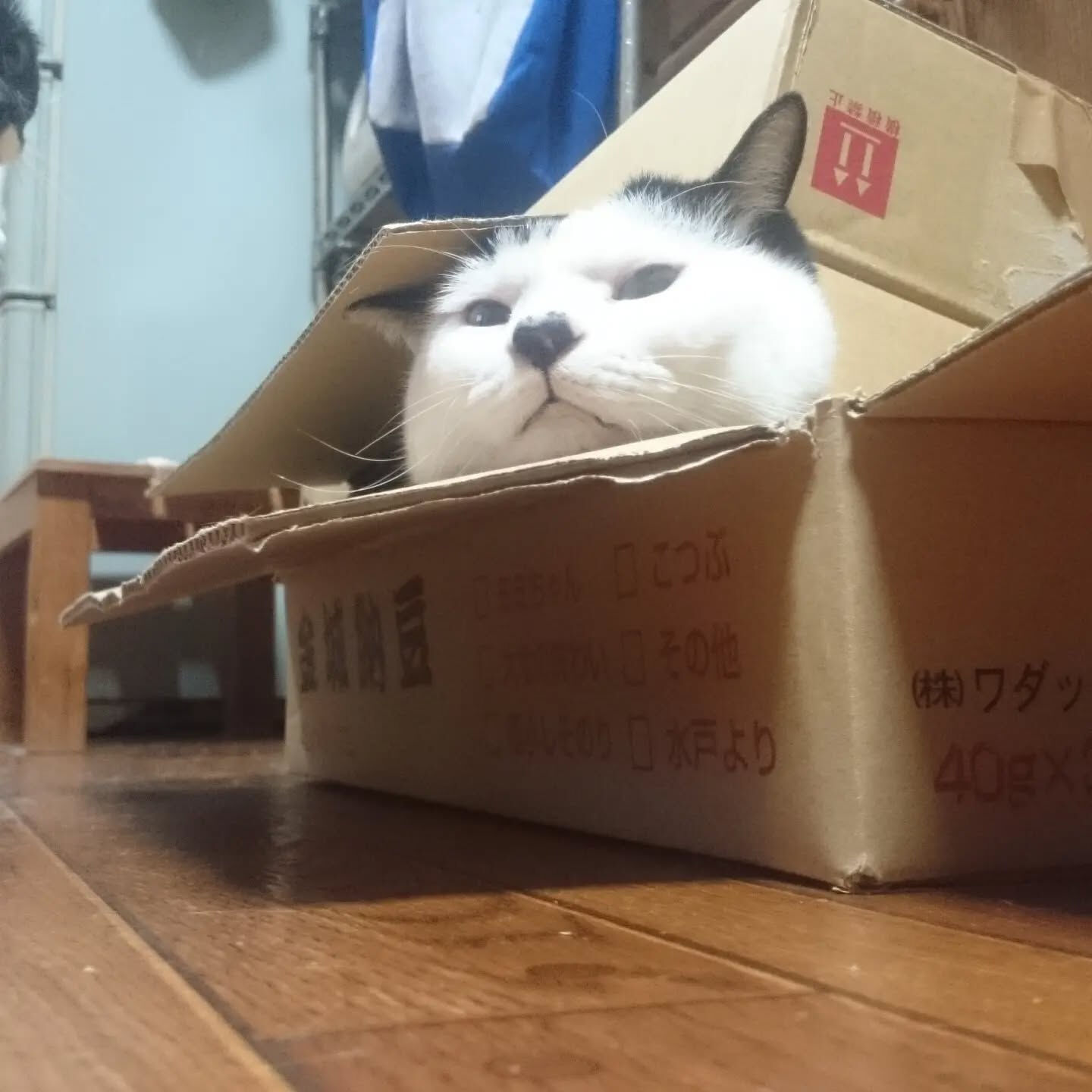 おはようございます☔