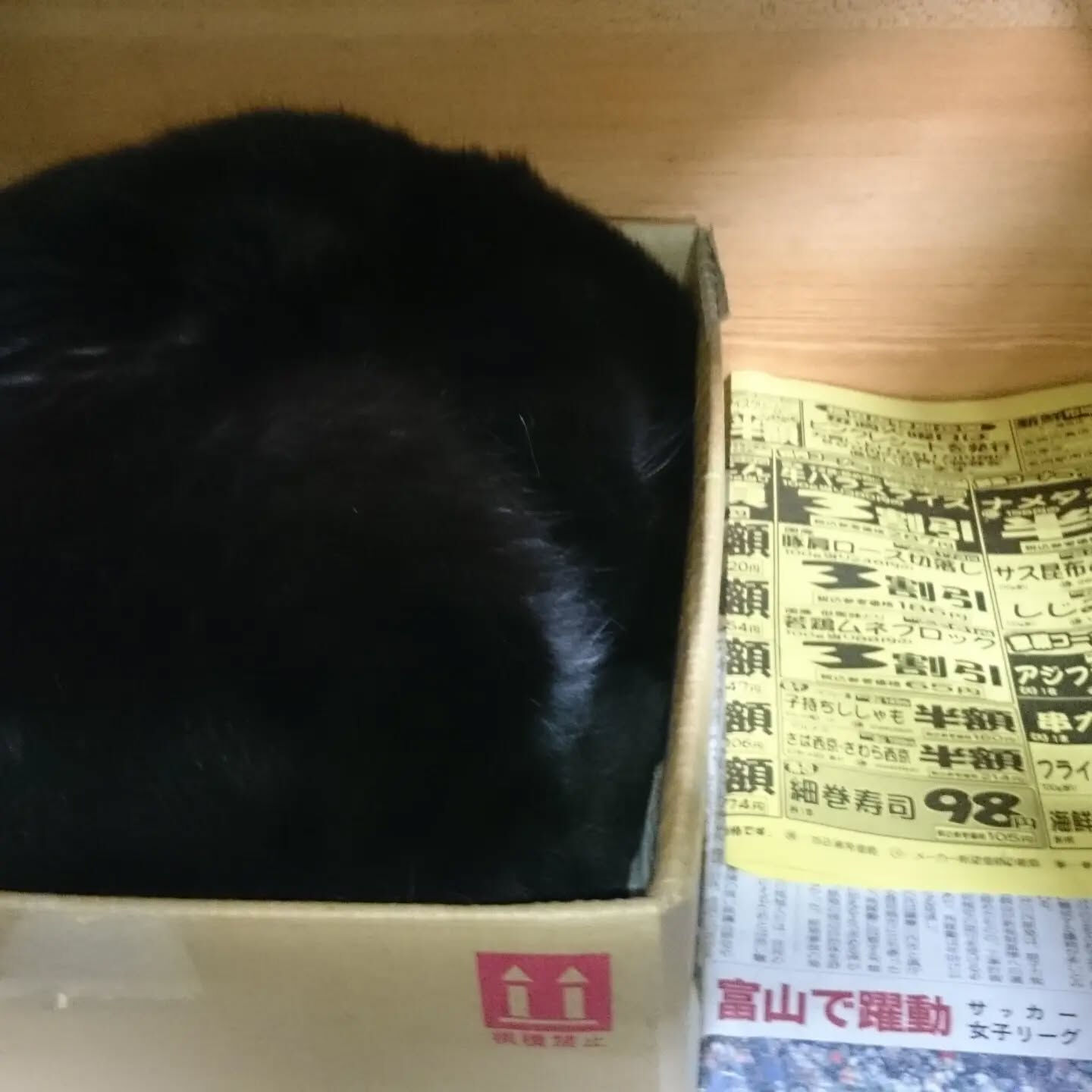 おはようございます☔