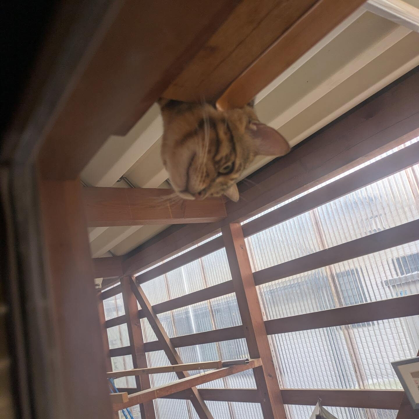 おはようございます☀