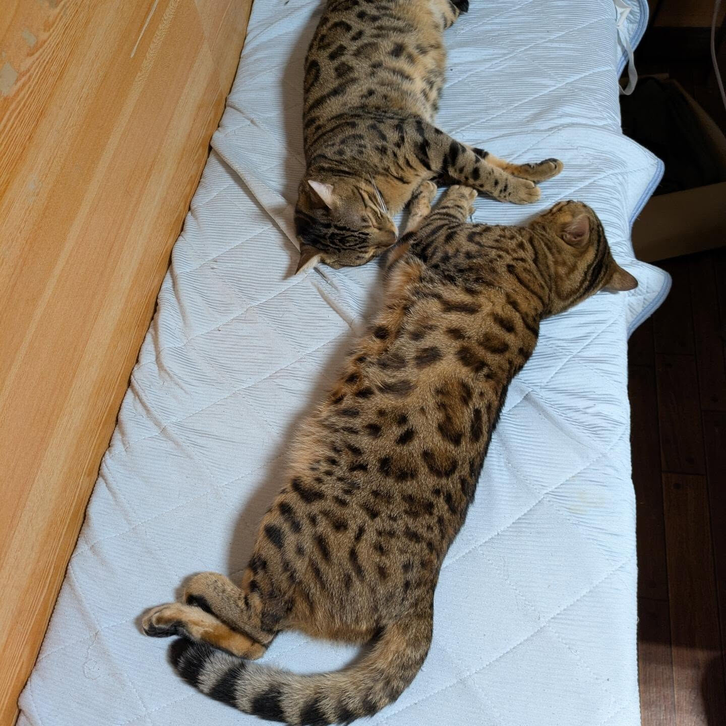 おはようございます☀